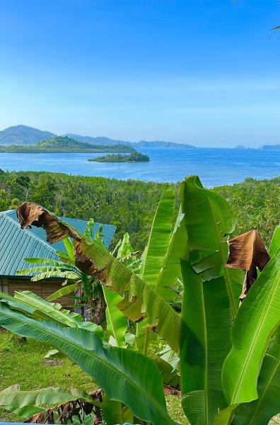 Green Hill Restaurant & Cottages, Rezervați Sat de vacanță Hoteluri ieftine în Palawan