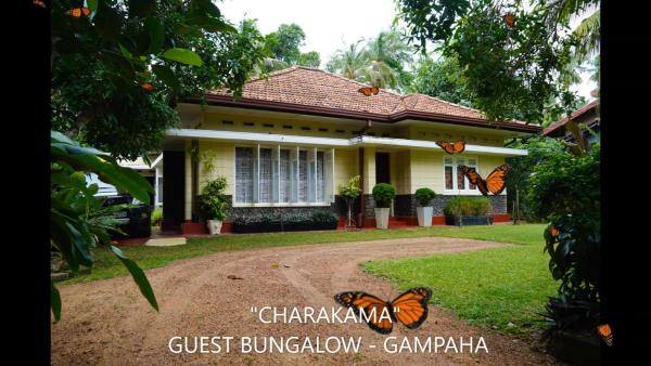 CHARAKAMA Guest Bungalow - GAMPAHA, Rezervați Pensiune Minuwangoda Gampaha District