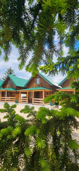 Green Top Durmitor, Rezervați Casă de vacanță Hoteluri în Zabljak County cu parcare, Parcare