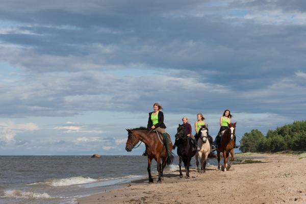 Arma Riding Farm And Holiday Home, Rezervați Casă de vacanță Rutja 