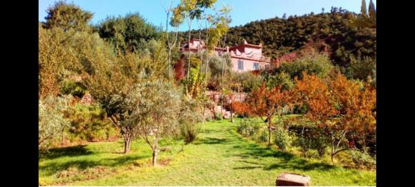 Ourika Timalizène le jardin des délices, Rezervați Pensiune Hoteluri în Tamzerdirt cu piscină, Piscină