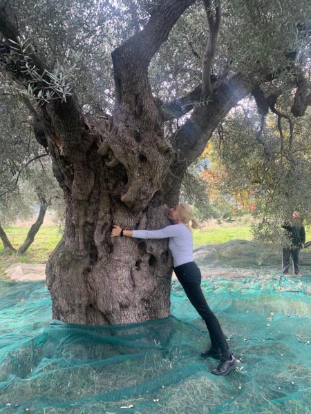 Villa Aurora, Rezervați Vilă Montegiordano Calabria