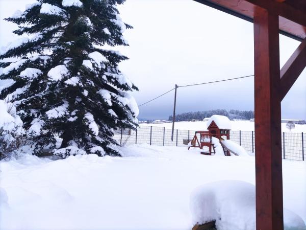 Ferienhaus am Hochficht Mühlviertel in Oberösterreich, Rezervați Vilă Freundorf Austria Superioară