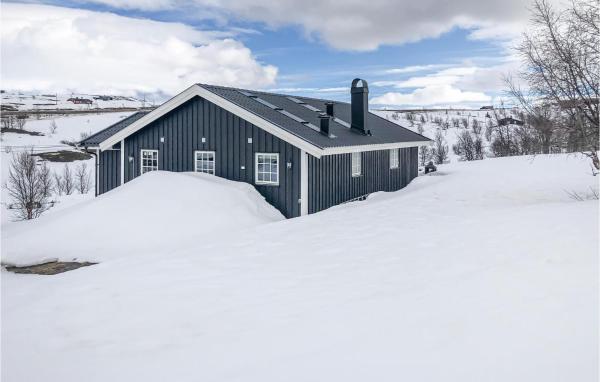 3 Bedroom Stunning Home In Uvdal, Rezervați Casă de vacanță Dagali Hallingdal