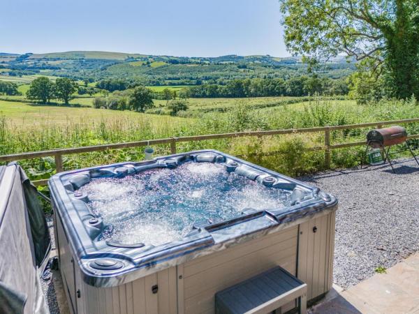 5 Bed in Llandovery oc-bow323, Rezervați Casă de vacanță Llandovery 