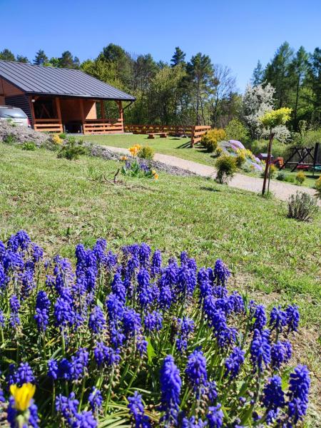 Roztocze, Domek Na Leśnym Wzgórzu nr2,Krasnobród,Zamość, Zwierzyniec, jacuzzi, Rezervați Casă de vacanță Hoteluri în Podkarpackie cu parcare, Parcare