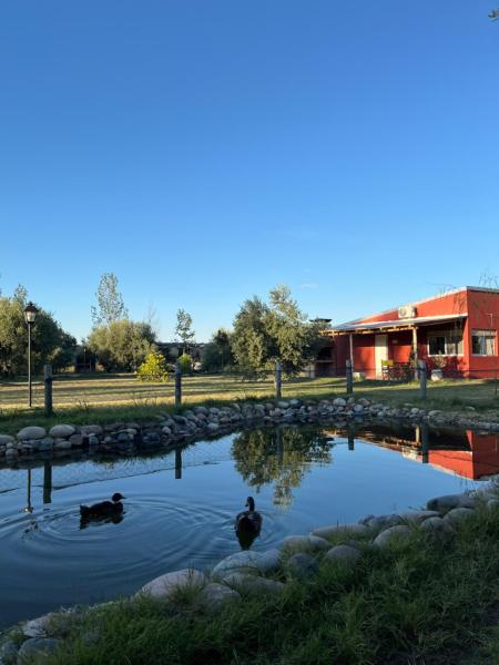 Finca La Calma, Rezervați Casă de vacanță Hoteluri în Mendoza cu piscină, Piscină