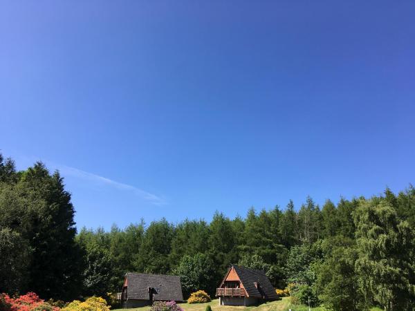 Heather Lodge, Rezervați Casă de vacanță Hoteluri în Scotland cu parcare, Parcare