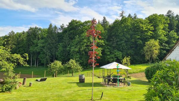HOF-AREAL Südsteiermark Dein Ort für Poltergruppen & Hochzeiten, Rezervați Sejur la fermă Hoteluri în Southern Styria cu piscină, Piscină