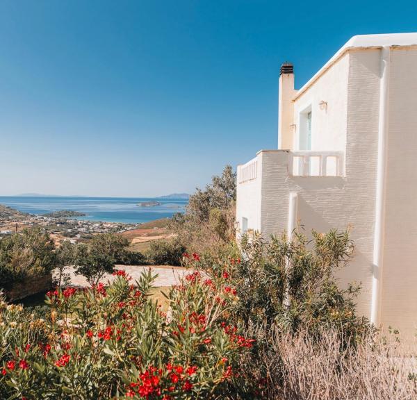 Villa Il Paradiso Andros, Rezervați  Gavrio Andros Island