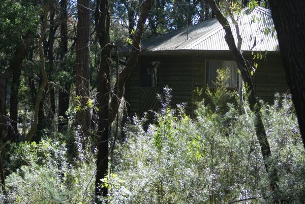Twin Falls Bush Cottages, Rezervați Pensiune Kangaroo Valley South Coast