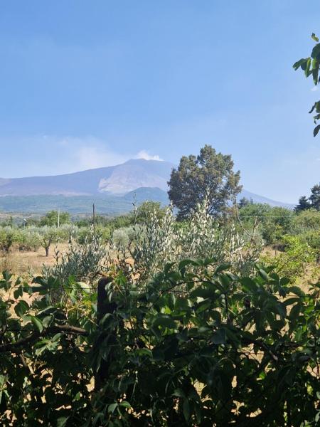 La casa di Giulia, Rezervați  Bronte Etna