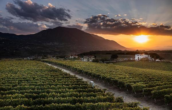 Giardino Delle Oche - Ocone Taburno Wine County, Rezervați  Hoteluri în Ponte cu piscină, Piscină