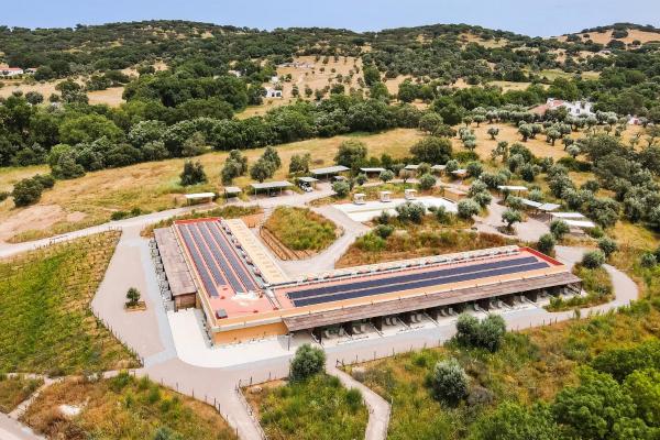 Gandum Village Conscious Boutique Hotel, Rezervați Hotel boutique Hoteluri în Alentejo Central cu piscină, Piscină