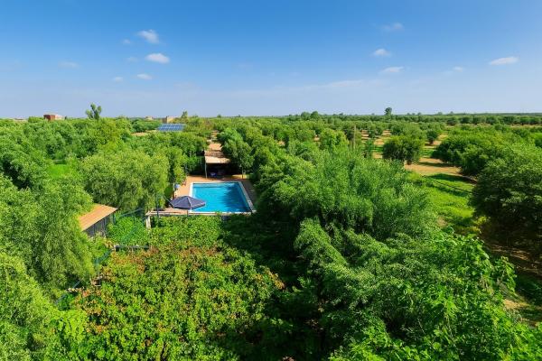 Eco Farm Tayssir Marrakech, Rezervați  Hoteluri în Marrakech-Tensift-Haouz cu piscină, Piscină