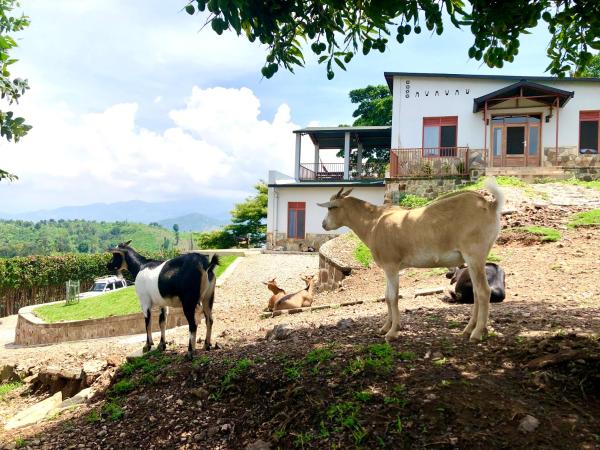 Amazi Land Home and Farm Stay, Rezervați  Kibuye Gitsi