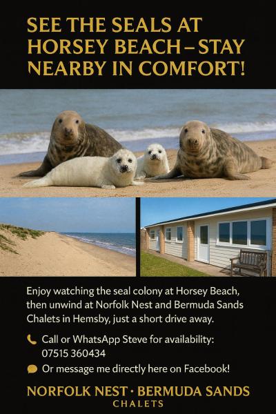 Norfolk Nest 2 bedroom chalet new media wall, Rezervați Cabana Hemsby 