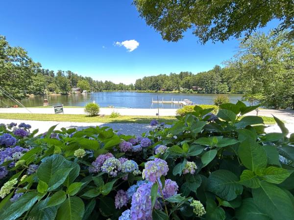 Mountain Lake Cottages, Rezervați  Hendersonville Carolina de Nord
