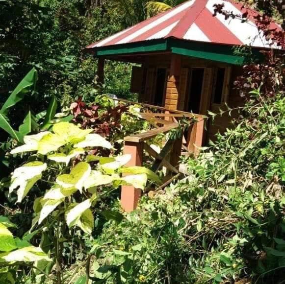 Berkey's Jungle Paradise Resort, Rezervați  Hoteluri în Roseau cu parcare, Parcare