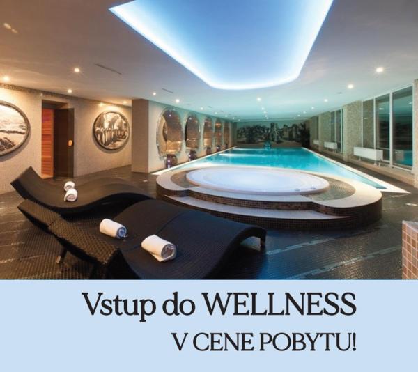 Wellness Hotel Vinnay, Rezervați Hotel Hoteluri în Michalovce cu piscină, Piscină