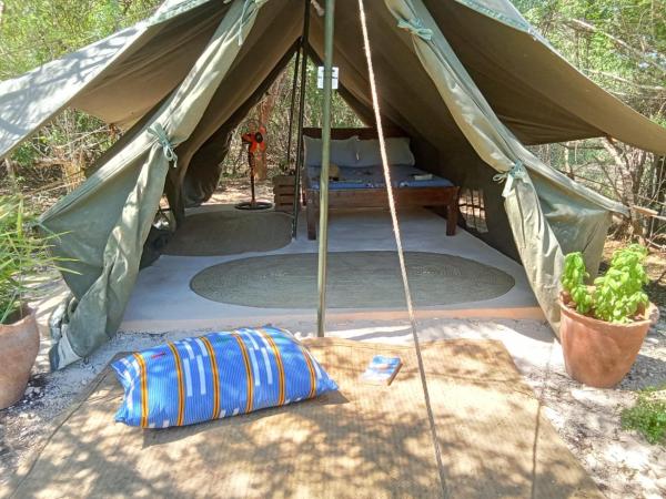 The Shamba, Rezervați  Kilifi 