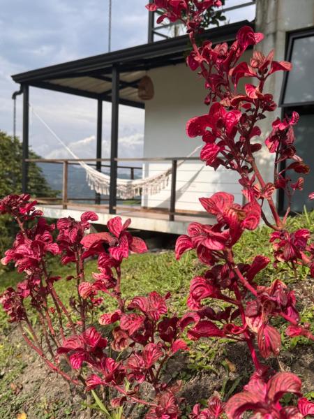 Cabañas Alondra, Rezervați  Vergara Cundinamarca