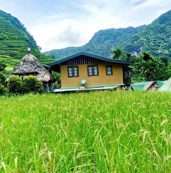 Batad Village Homestay & Restaurant, Rezervați  Hoteluri cu SPA în Luzon, SPA