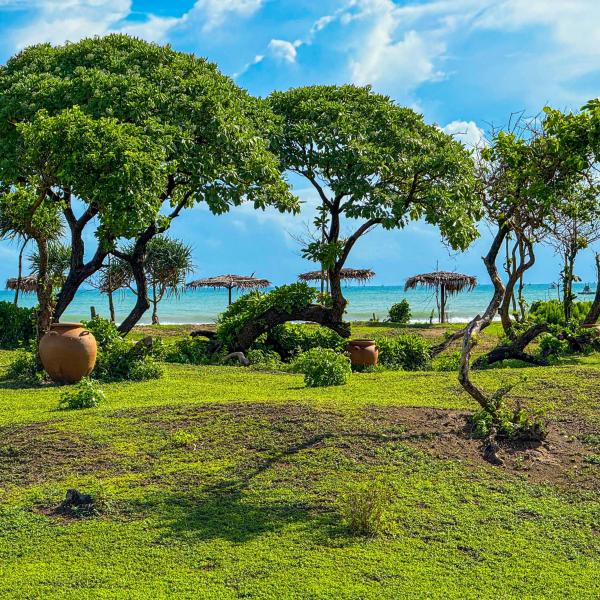 MareCoves Resort & Glamping, Rezervați Teren de campat Terene de camping în Banten, Teren de campat