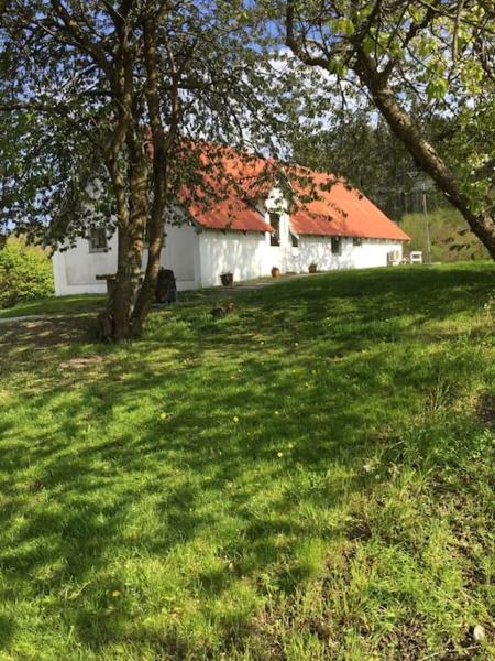 Vacation home on the Half island Helgenæs, Rezervați  Knebel Midtjylland
