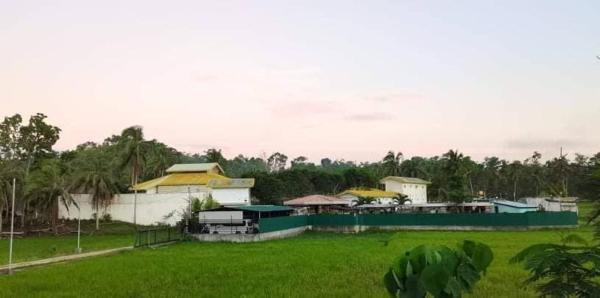 green aa garden resort, Rezervați  Sikatuna Bohol
