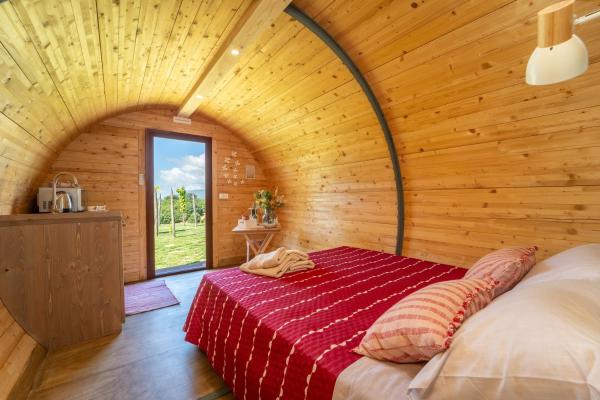 Dormire in una botte - Antiche Vigne Pironti, Rezervați  Marzi Calabria