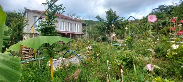 Guest House David, Rezervați  Gumbra Tskaltubo Municipality