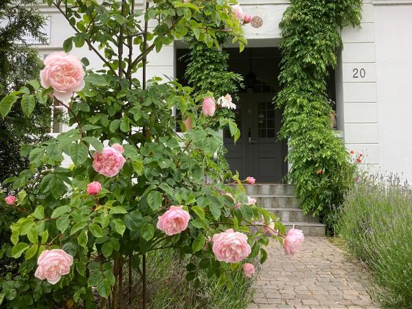 B&B Österlens RosenTrädgård, Rezervați  Glemmingebro Skåne
