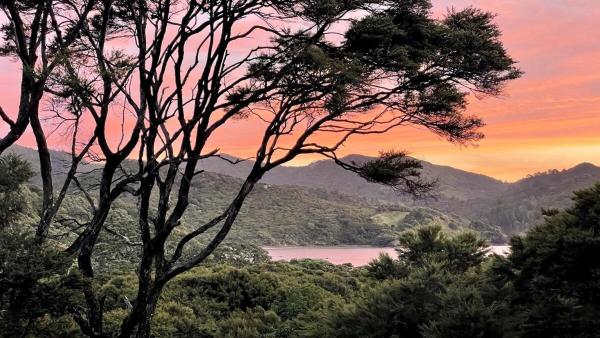 Okupu Beach House, Rezervați  Okupu Great Barrier Island