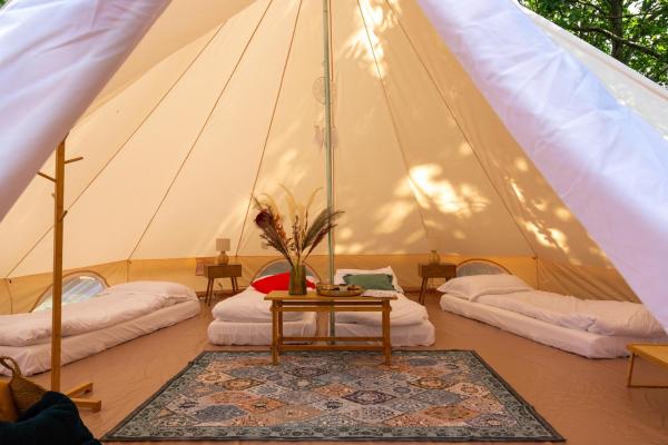 Jaskółkowo Glamping, Rezervați Teren de campat Terene de camping în Pomerania, Teren de campat
