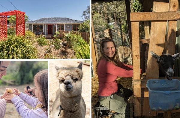 Blue Mountains Urban Farm Stay near Sydney, Rezervați  Hazelbrook New South Wales