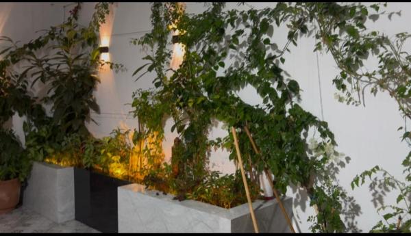 Villa tissir Tanger, Rezervați  Hoteluri în Marrakech-Tensift-Haouz cu parcare, Parcare