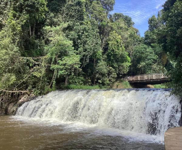 Malanda Falls Retreat, Rezervați  Malanda Queensland