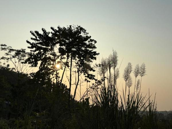 Teplong - The Paix, Kaziranga, Rezervați  Kaolākhāt Assam