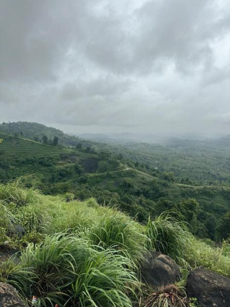 Banasura Wayanad, Rezervați  Meenangadi Wayanad