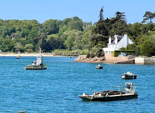 BB les pieds dans L\eau CARANTEC, Rezervați  Carantec Finistère