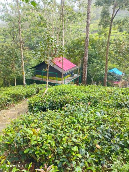 Organic Farmers Tent & Trekking, Rezervați  Yedapalli Tamil Nadu