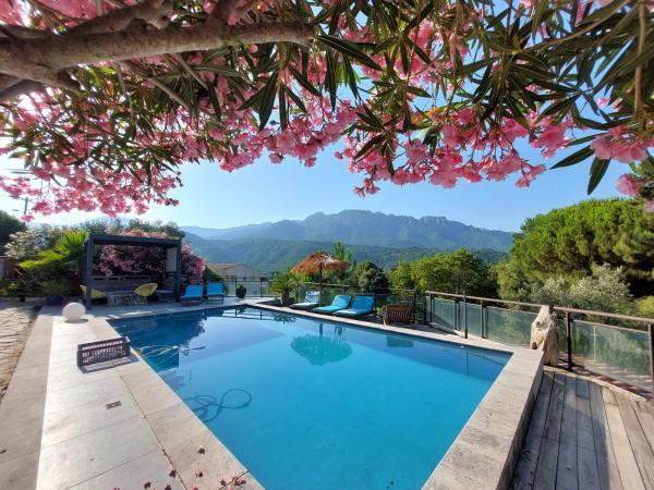 Villa rundinella, Rezervați  Hoteluri în Vero cu piscină, Piscină