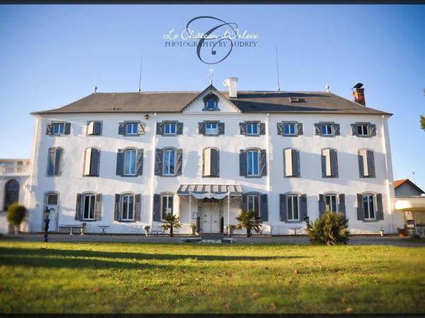Le Château D'Orleix, Rezervați Pensiune Hoteluri în Odos cu piscină, Piscină