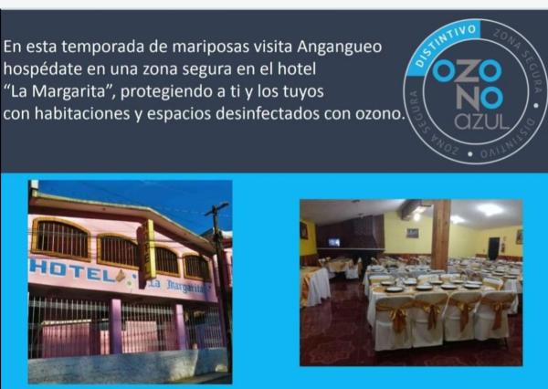 Hotel La Margarita, Rezervați Hotel Hoteluri în Michoacan cu parcare, Parcare