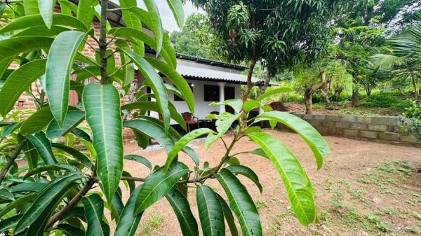Golden Home Stay, Rezervați  Kandalama Central Province