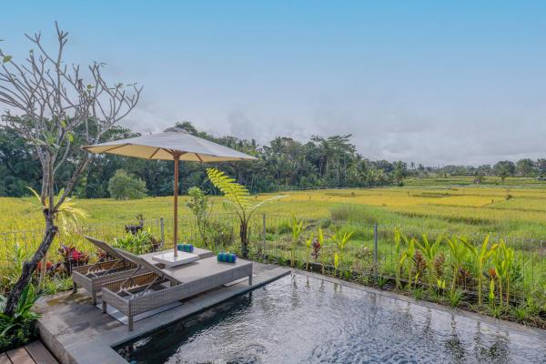 Aranya Ubud Villa, Rezervați  Hoteluri în Bali cu parcare, Parcare