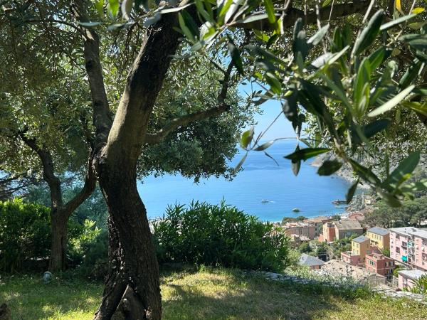 Villa Renata - amazing sea view garden terrrace, Rezervați  Monterosso al Mare Cinque Terre
