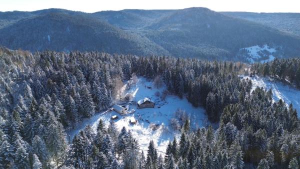 Gite à la ferme aux Alpagas, Rezervați   