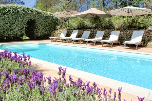 Provençal Villa With Pool Near St Antonin Du Var, Rezervați  Hoteluri în La Caravane cu piscină, Piscină